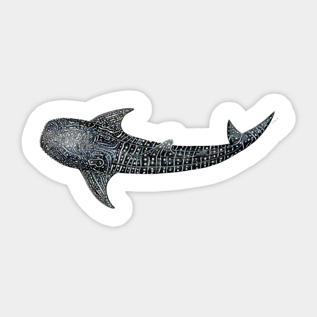 Whale shark Rhincodon typus for divers, animal lovers and fishermen Sticker by chloeyzoard